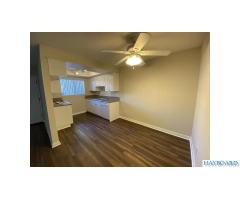 2 bedroom with 2 bathrooms apartment available now!